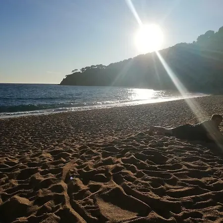 Holiday home Casa Emilia Tossa de Mar